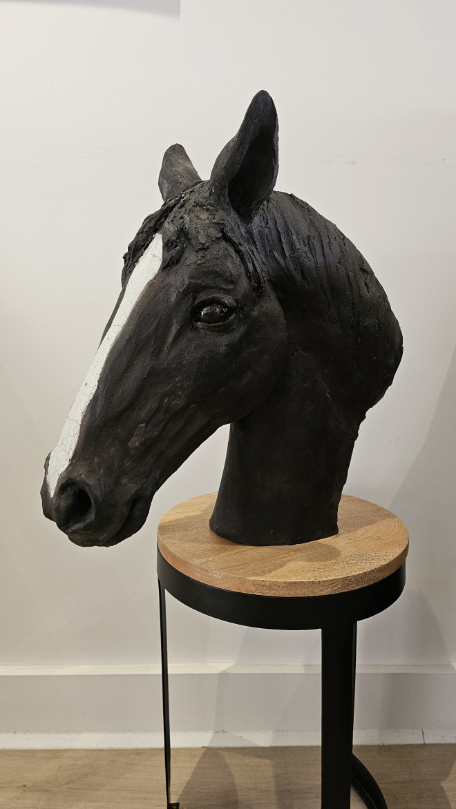Cheval-Ross. M