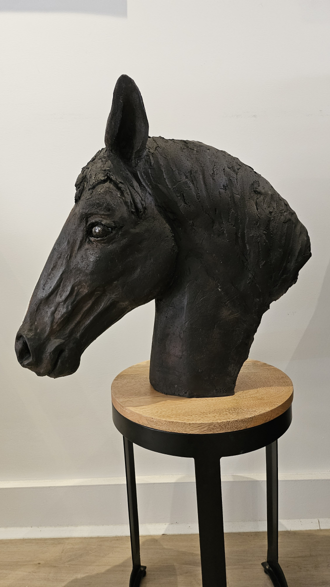Cheval-Ross. M