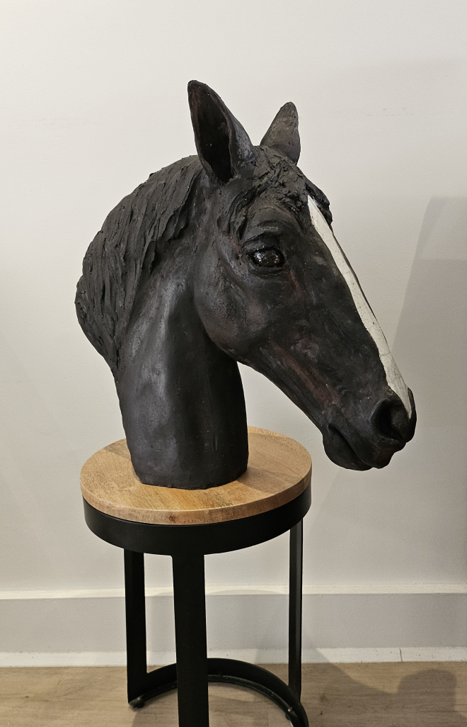 Cheval-Ross. M