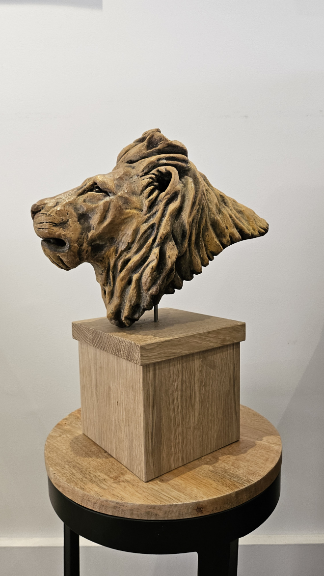 Lion-ROSS.M