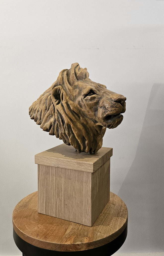 Lion-ROSS.M