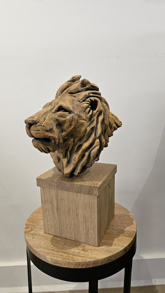 Lion-ROSS.M