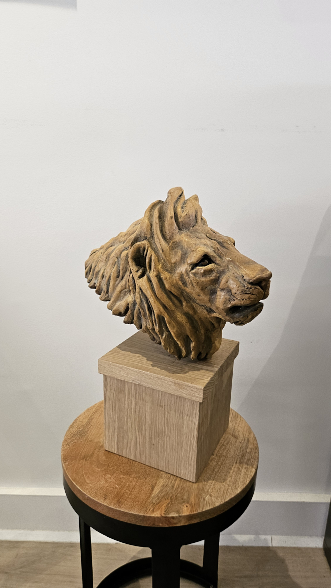 Lion-ROSS.M