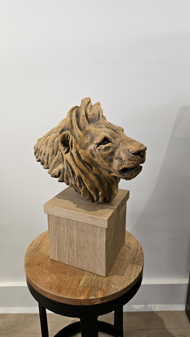 Lion-ROSS.M