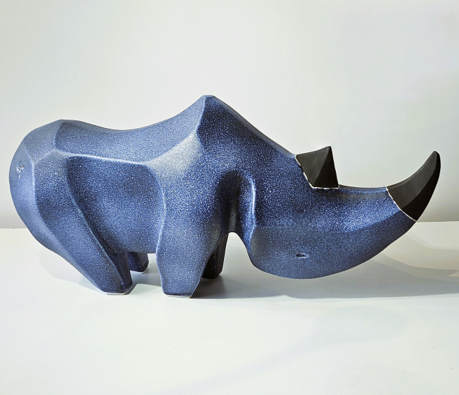 Rhinocros-Olivier FONSECA