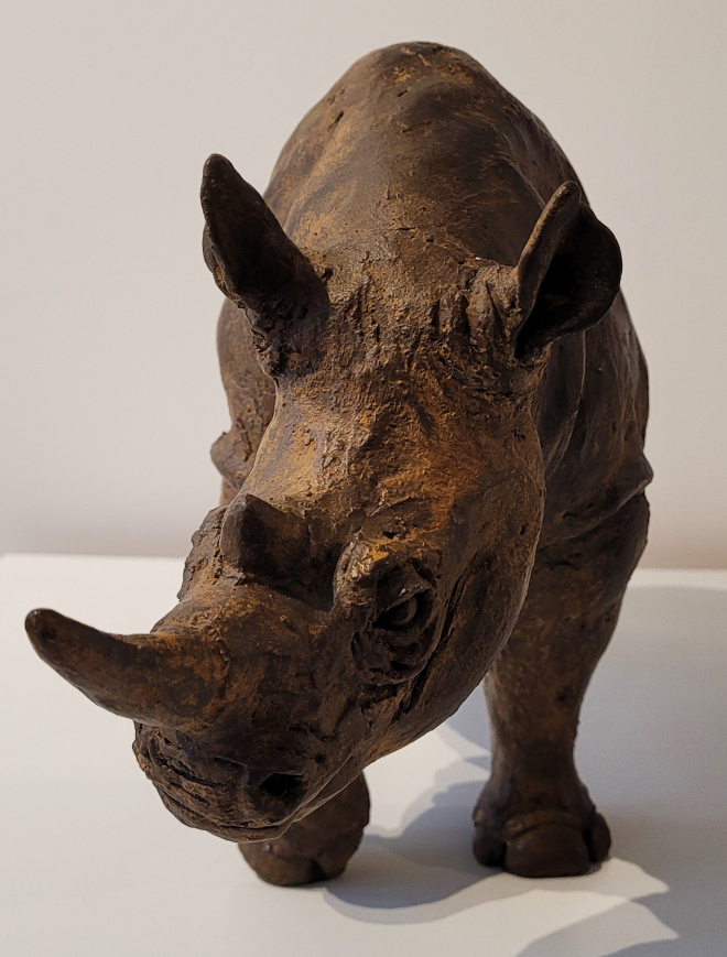 Rhinocros-Ross. M