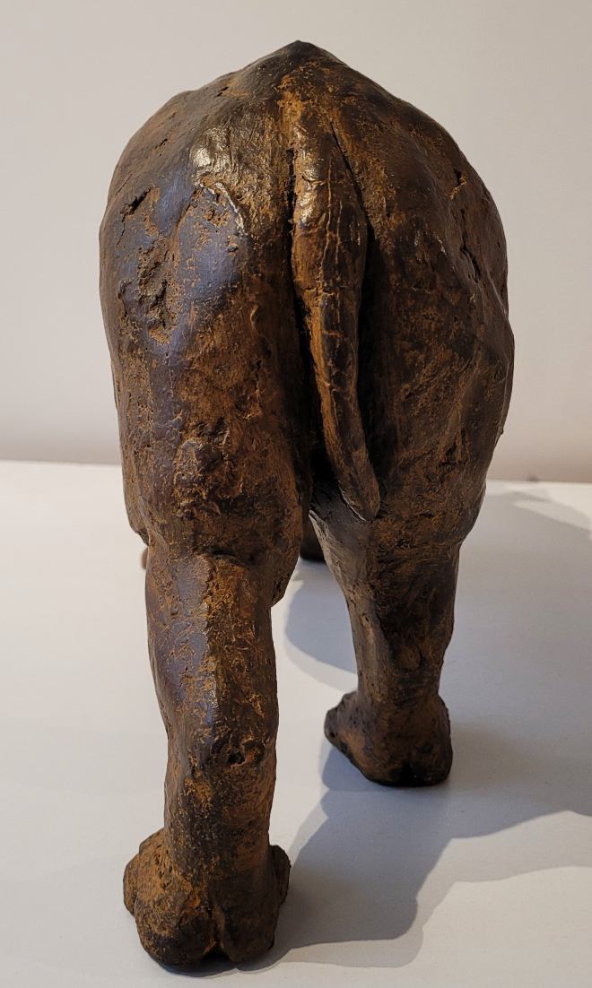 Rhinocros-Ross. M