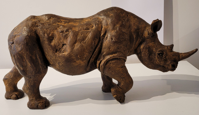Rhinocros-Ross. M