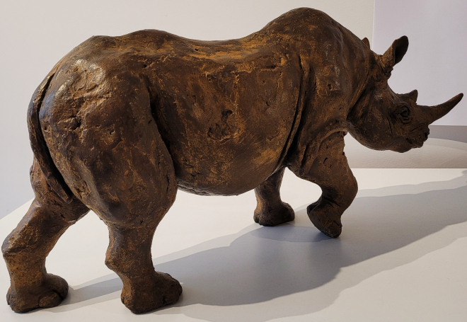 Rhinocros-Ross. M