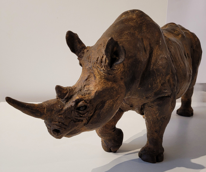 Rhinocros-Ross. M