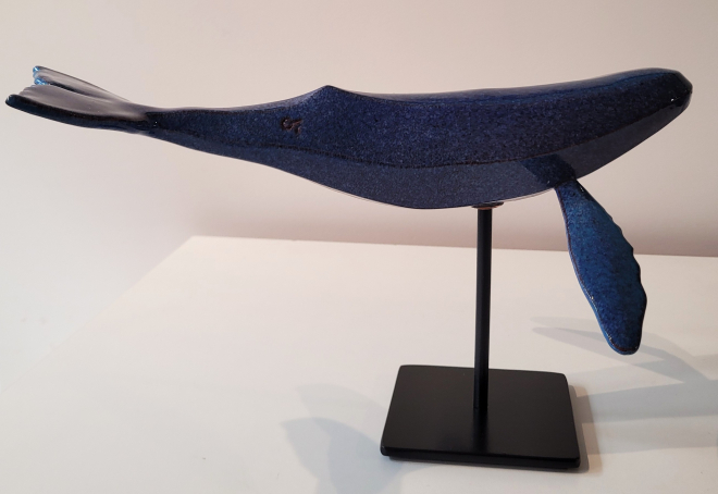 Baleine-Olivier FONSECA