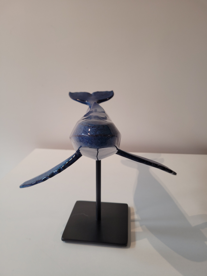 Baleine-Olivier FONSECA