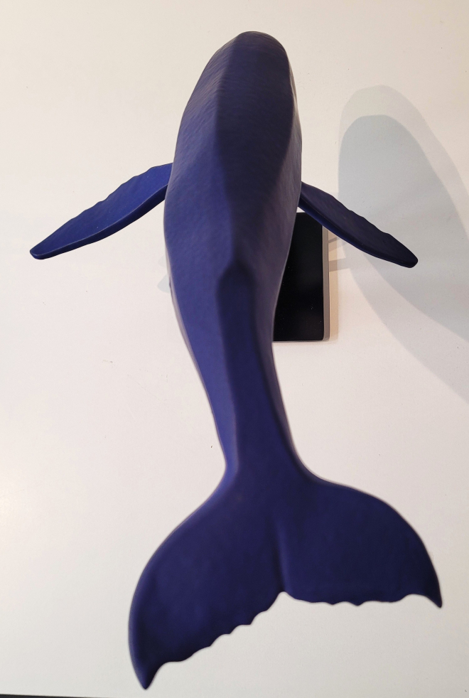 Baleine-Olivier FONSECA