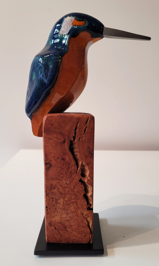 Martin p�cheur-Olivier FONSECA