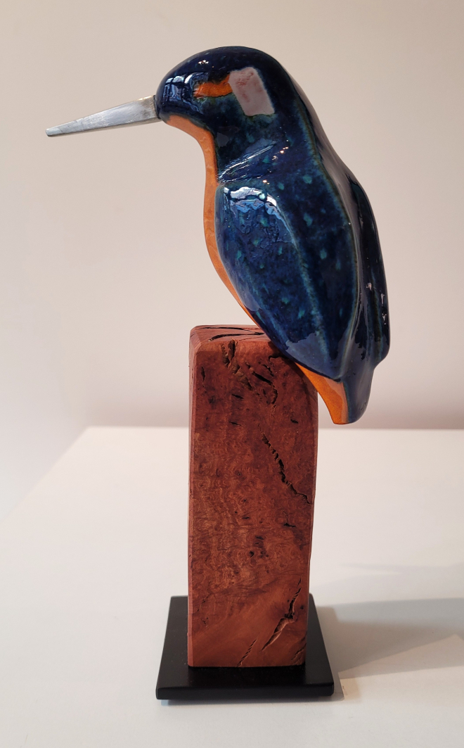 Martin p�cheur-Olivier FONSECA