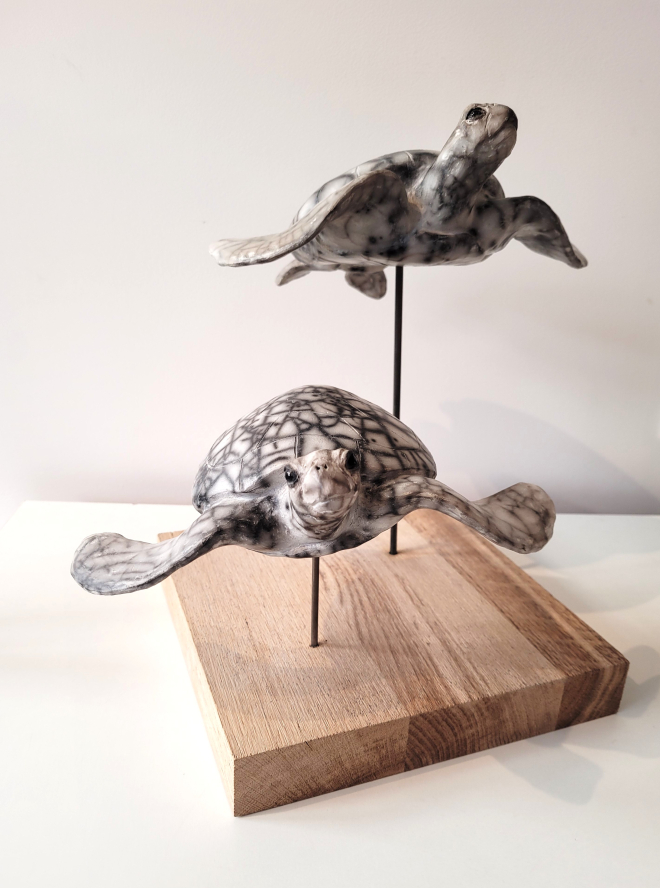 Tortues marines-Ross. M