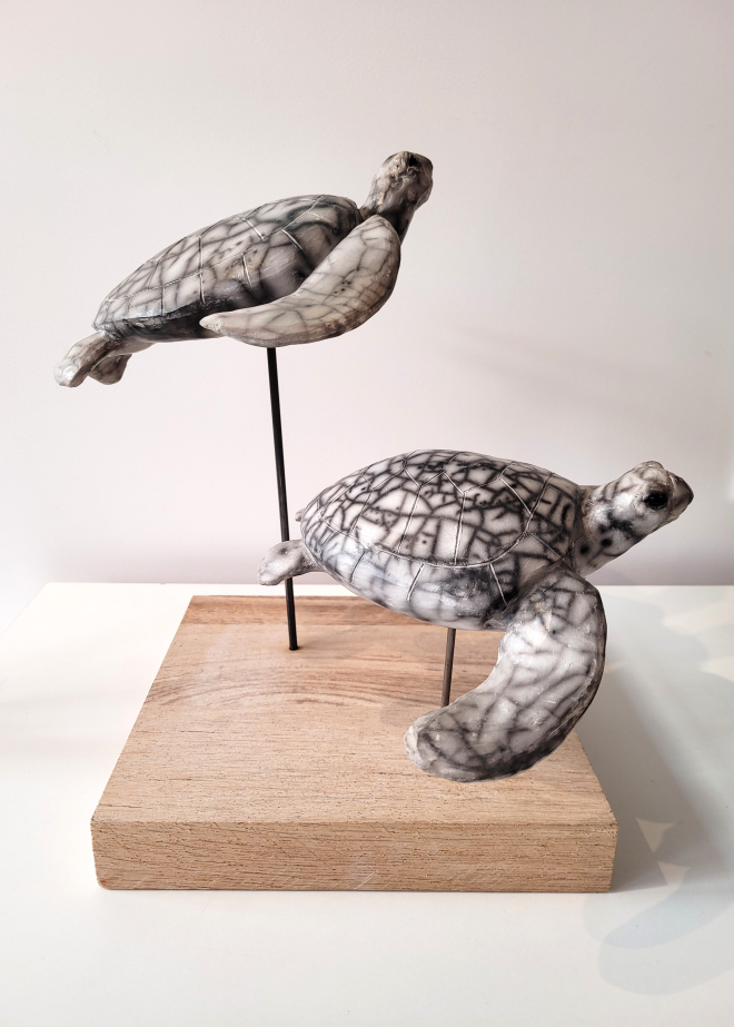 Tortues marines-Ross. M