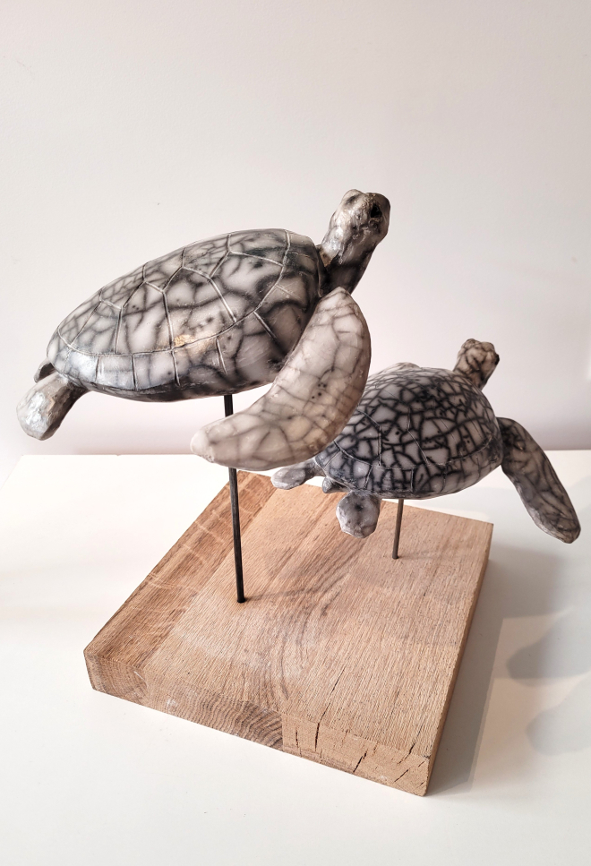 Tortues marines-Ross. M