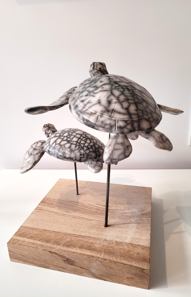 Tortues marines-Ross. M