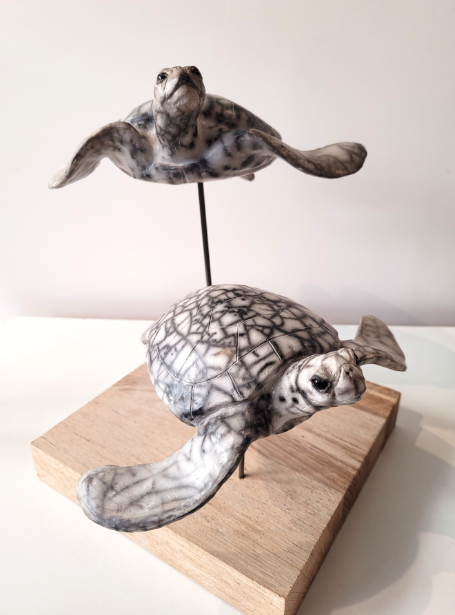 Tortues marines-Ross. M