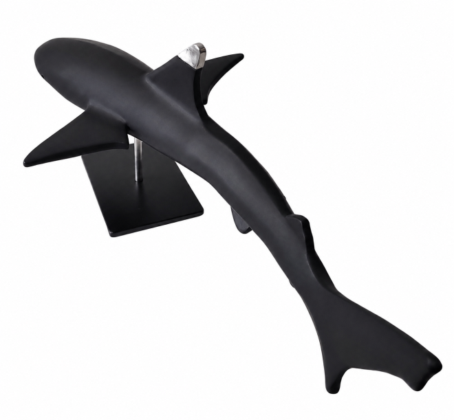 Requin pointe noire-Olivier FONSECA