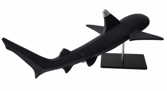 Requin pointe noire-Olivier FONSECA