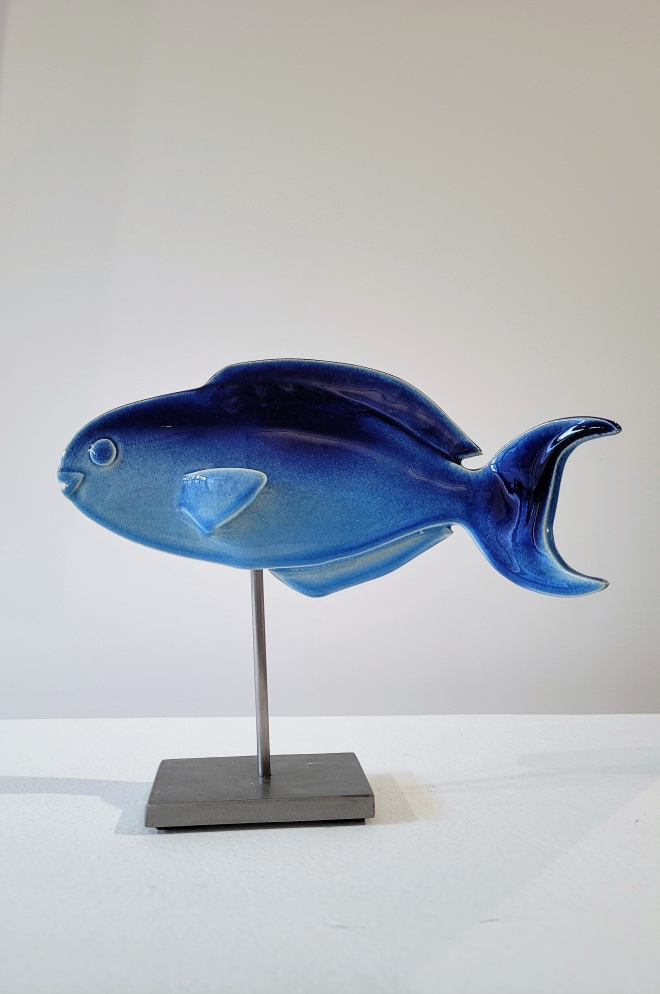 PETIT POISSON PERROQUET-Olivier FONSECA