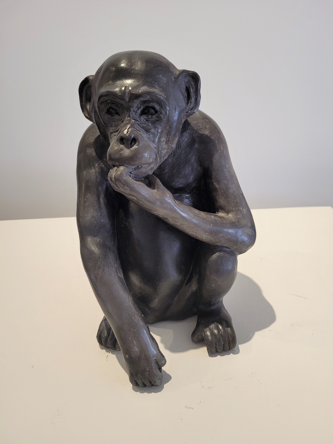 PETIT CHIMPANZE-ROSS.M