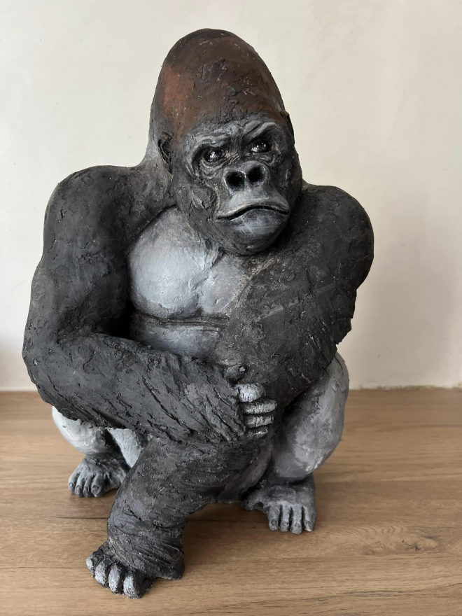 Gorille dos argenté-Ross. M