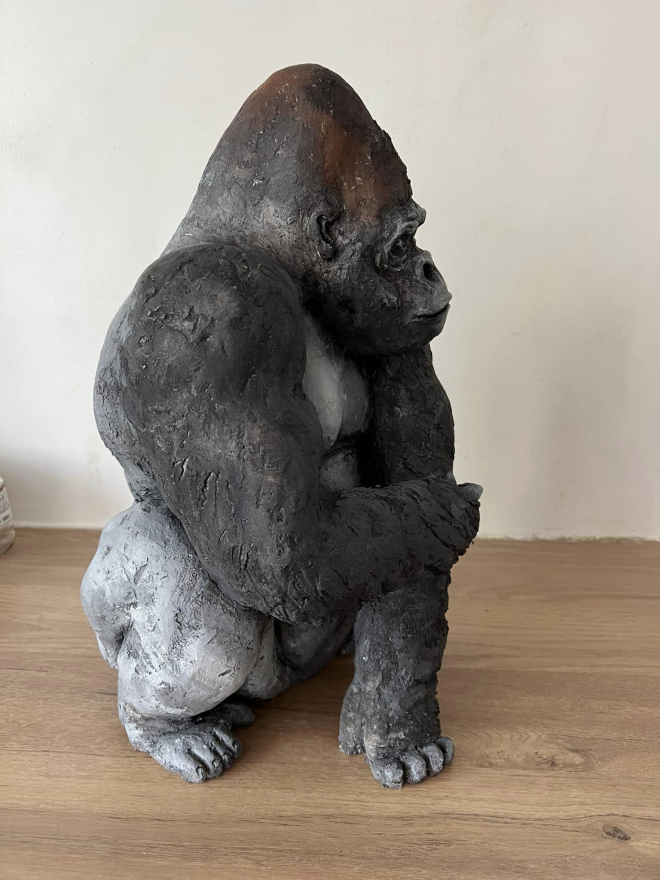 Gorille dos argenté-Ross. M