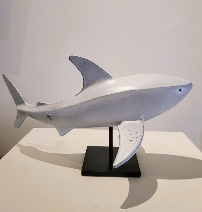 Requin blanc-Olivier FONSECA