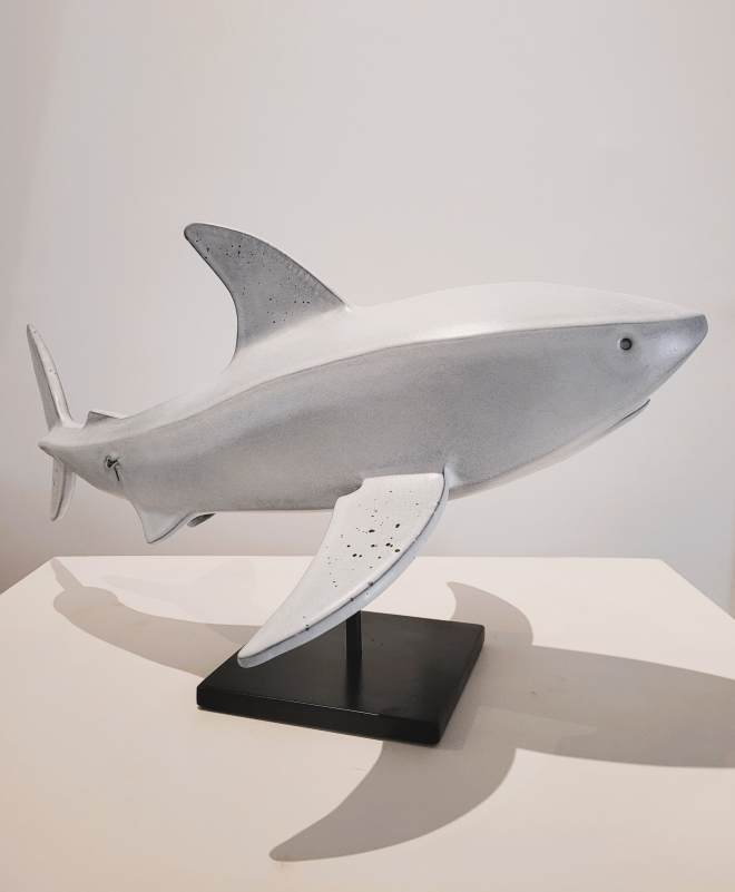 Requin blanc-Olivier FONSECA