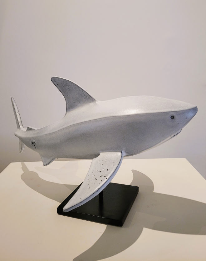 Requin blanc-Olivier FONSECA