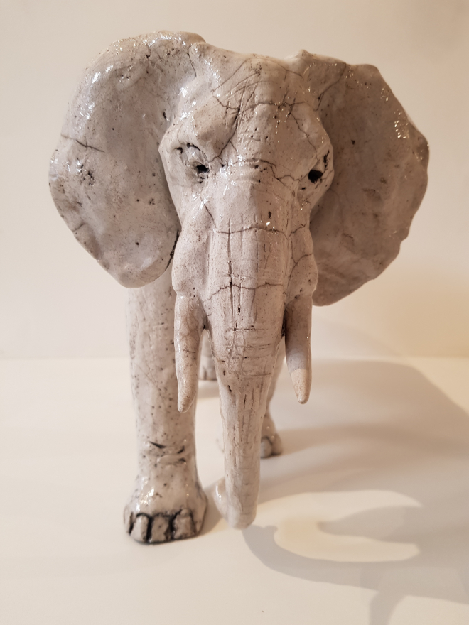 ELEPHANT-Ross. M