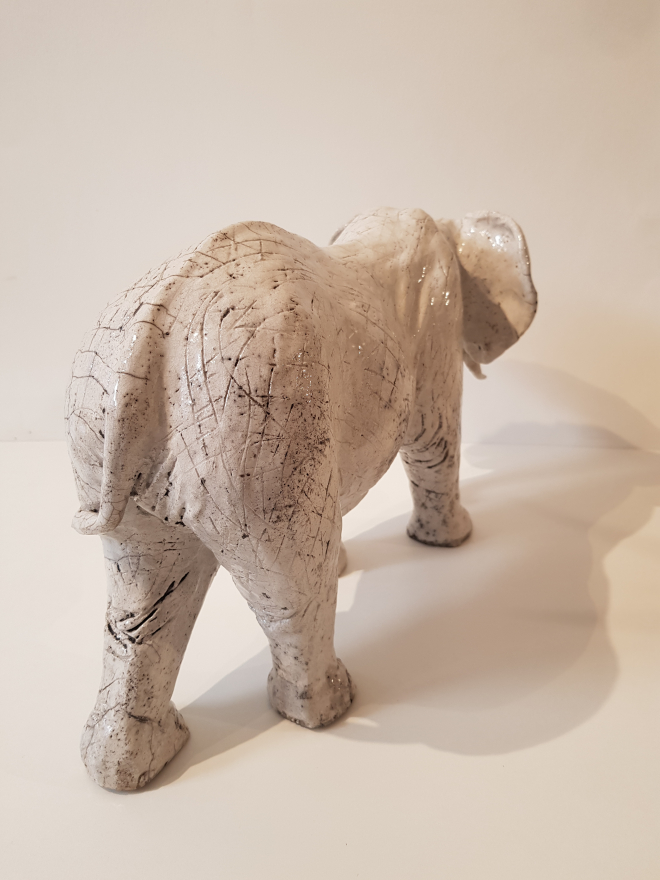 ELEPHANT-Ross. M